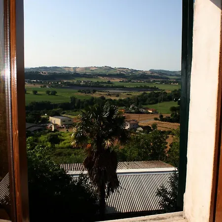 Norma E Agostino